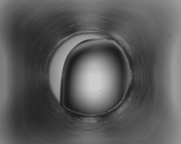 X0000094911457200712061039
