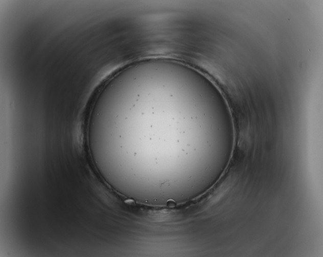 X0000094911458200712061039