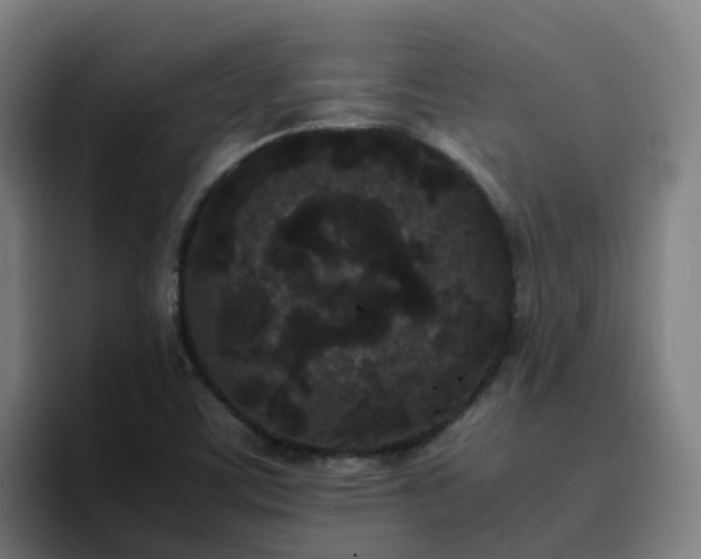 X0000094911459200712061039