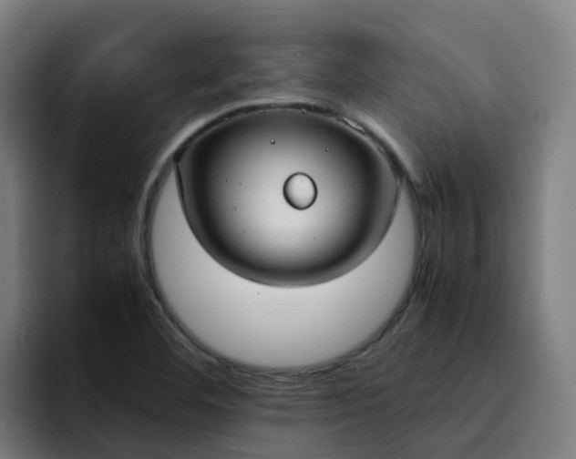 X0000094911460200712061039