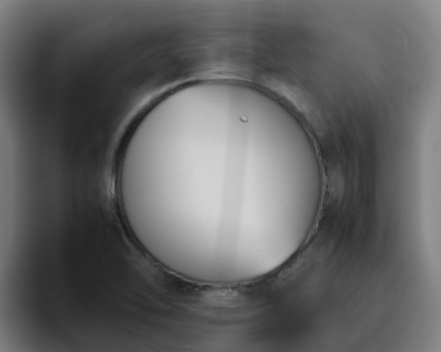X0000094911462200712061039