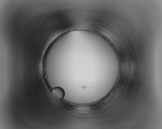 X0000094911466200712061039