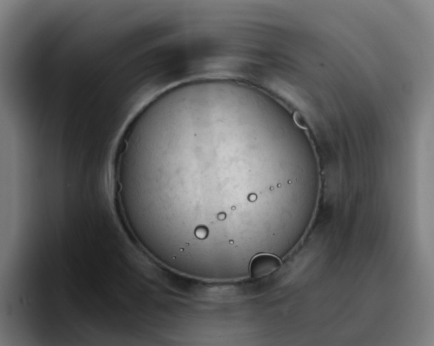 X0000094911467200712061039