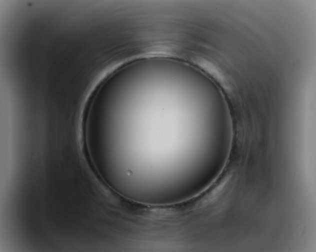 X0000094911469200712061039