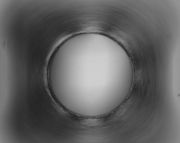 X0000094911470200712061039