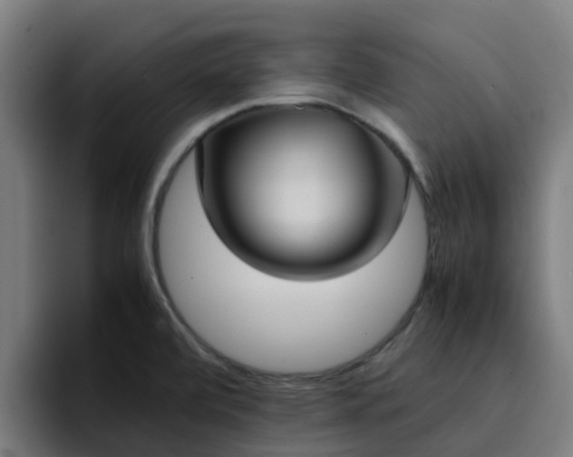 X0000094911472200712061039