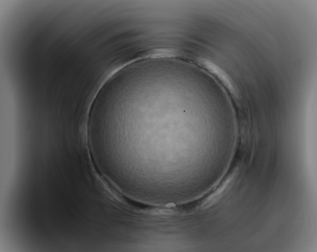 X0000094911473200712061039