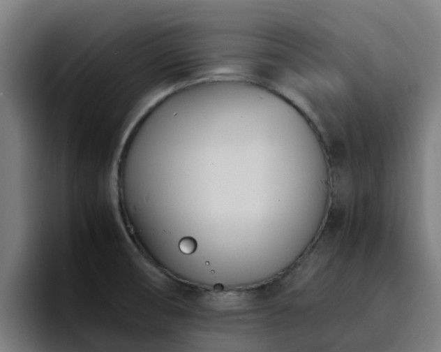 X0000094911474200712061039
