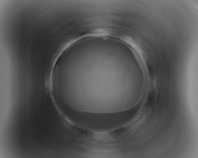 X0000094911477200712061039