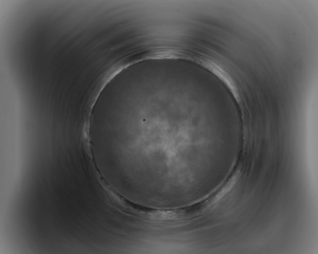 X0000094911481200712061039