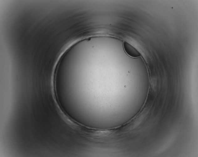 X0000094911482200712061039
