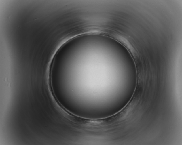 X0000094911483200712061039