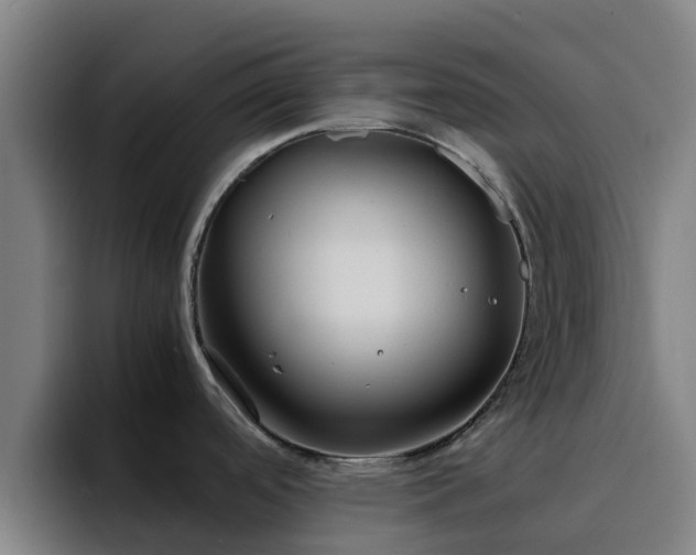 X0000094911488200712061039