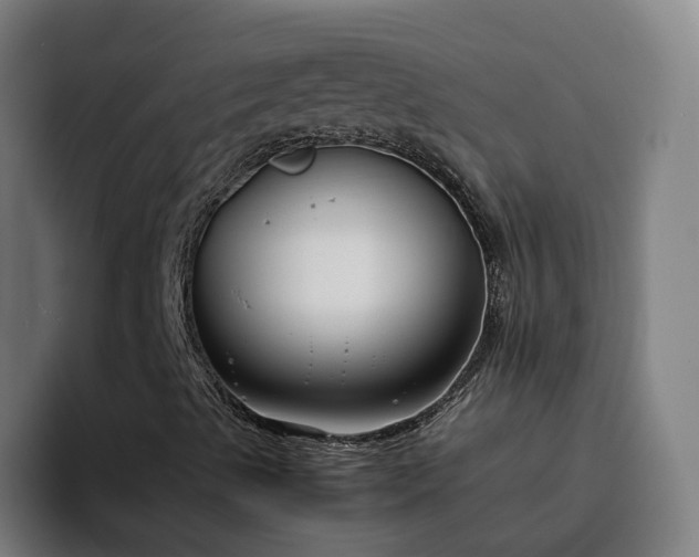 X0000094911489200712061038