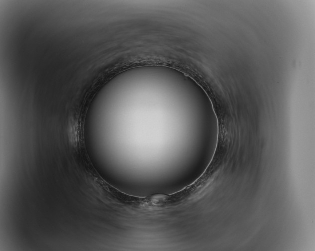 X0000094911490200712061038