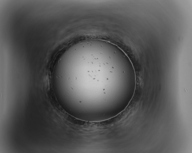 X0000094911493200712061038