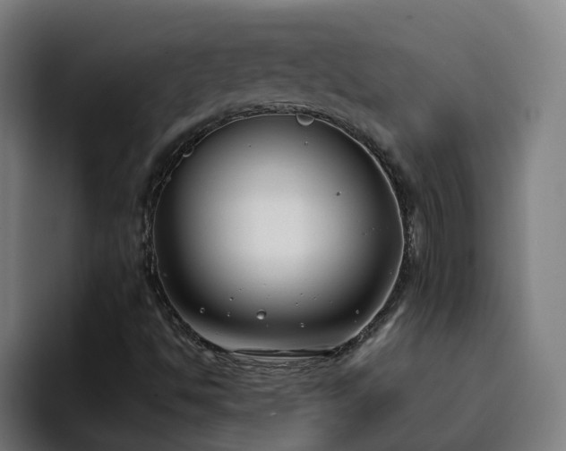 X0000094911494200712061038