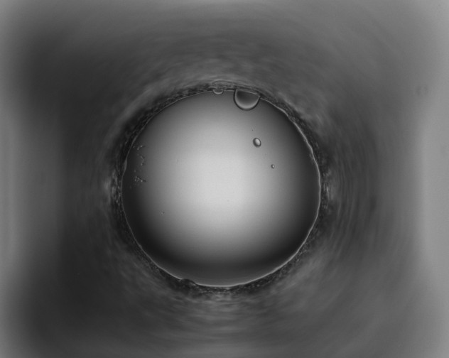 X0000094911495200712061038