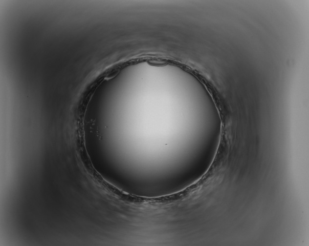 X0000094911496200712061038