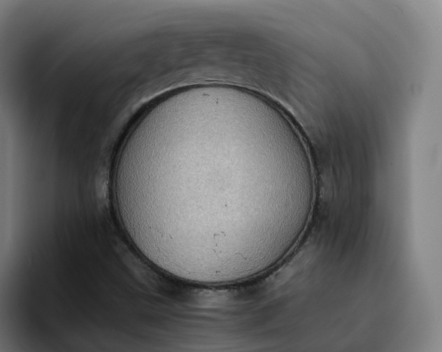 X0000094911499200712061038