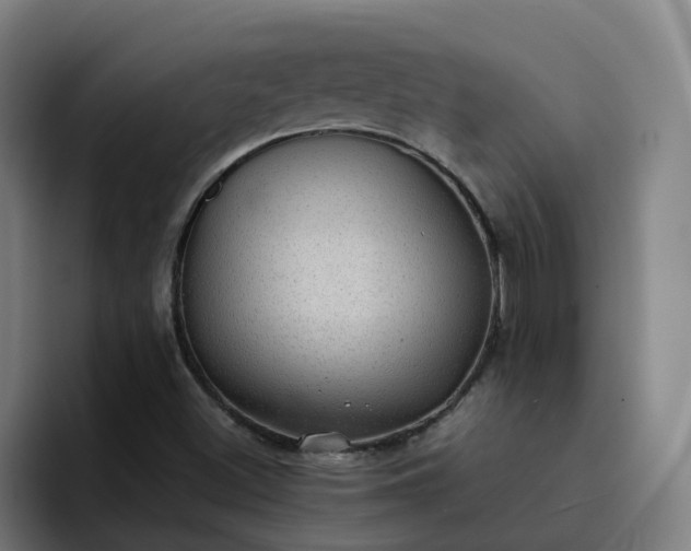 X0000094911500200712061038