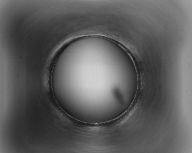 X0000094911502200712061038