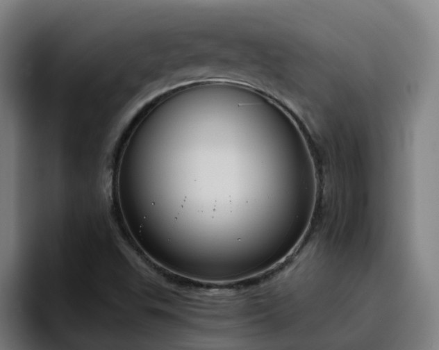 X0000094911503200712061038