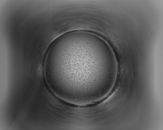 X0000094911505200712061038