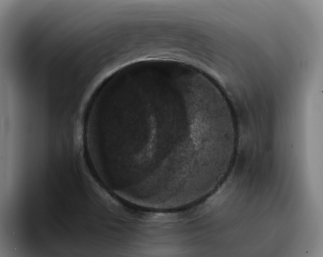 X0000094911506200712061038
