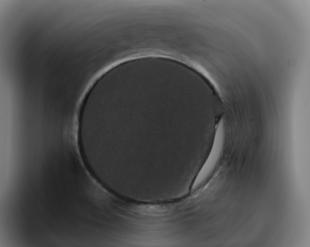 X0000094911508200712061038