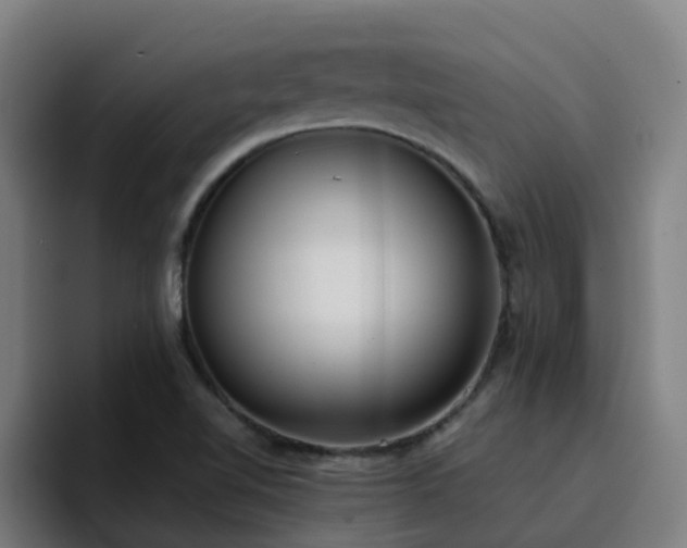 X0000094911510200712061038
