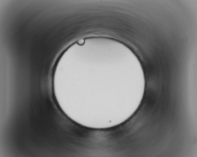 X0000094911514200712061038