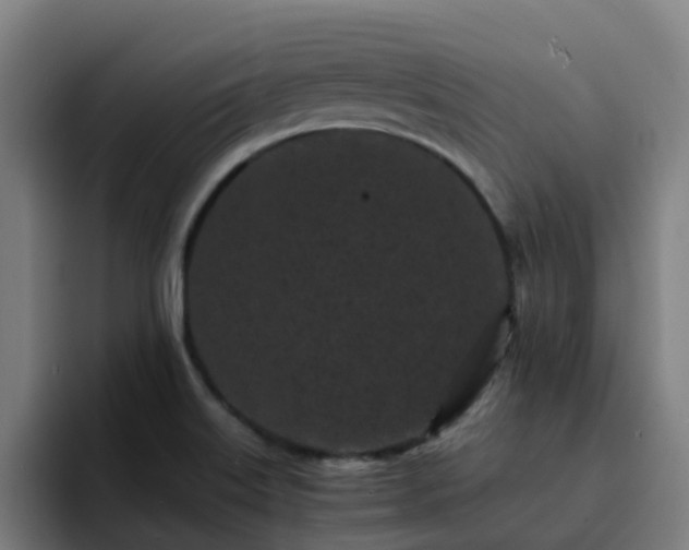 X0000094911515200712061038