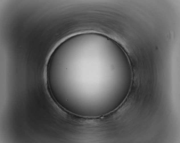 X0000094911516200712061038