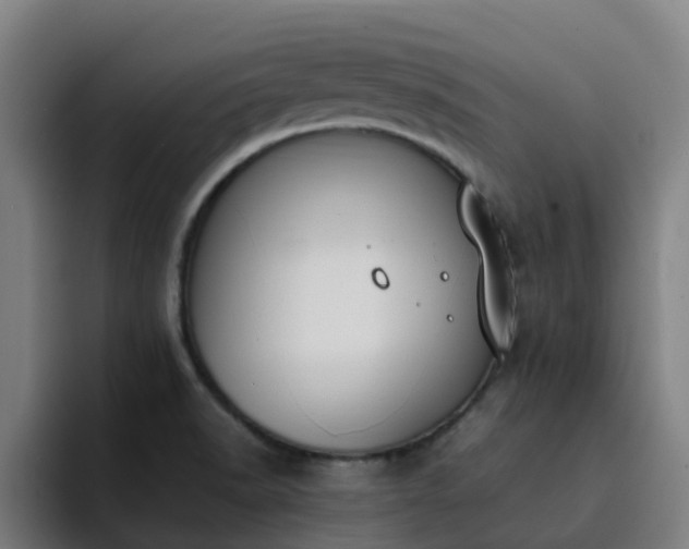 X0000094911518200712061038