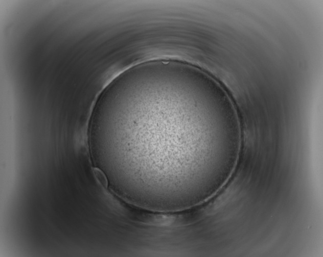 X0000094911521200712061038