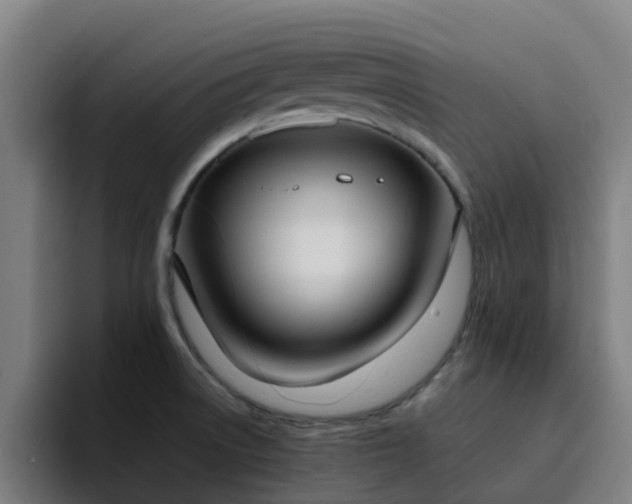 X0000094911522200712061038