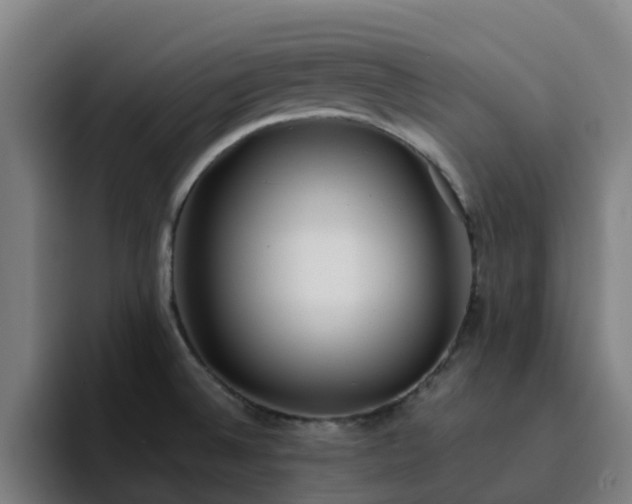 X0000094911524200712061038