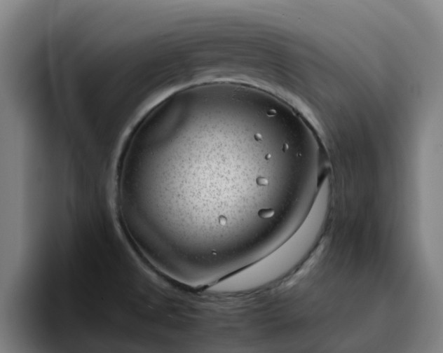 X0000094911525200712061038
