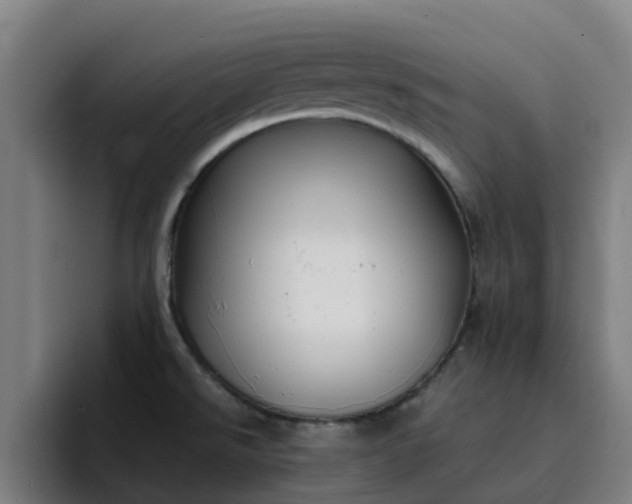 X0000094911526200712061038