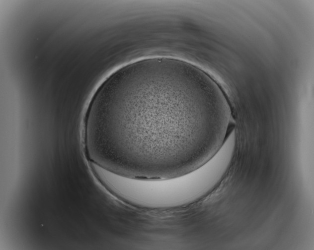 X0000094911527200712061038