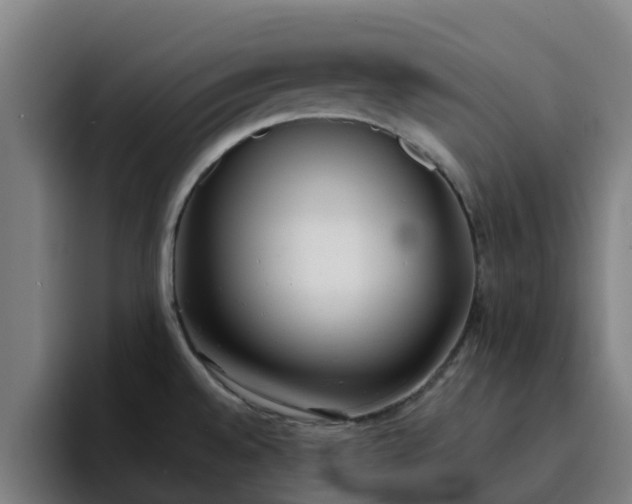 X0000094911528200712061038