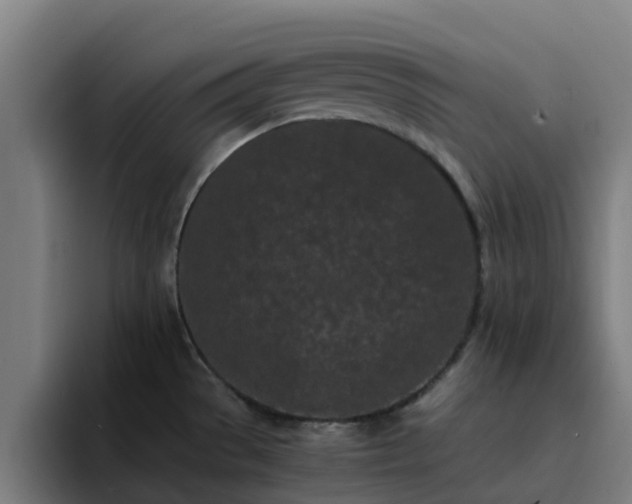 X0000094911529200712061038