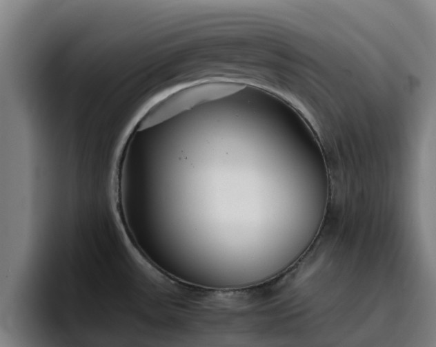 X0000094911531200712061038