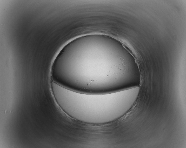 X0000094911532200712061038