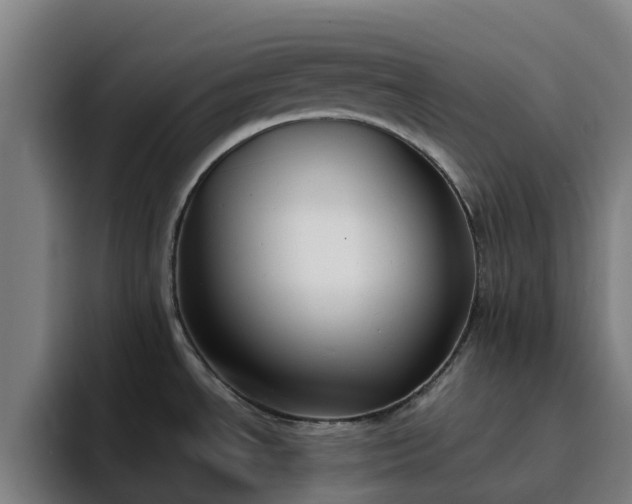 X0000094911534200712061039