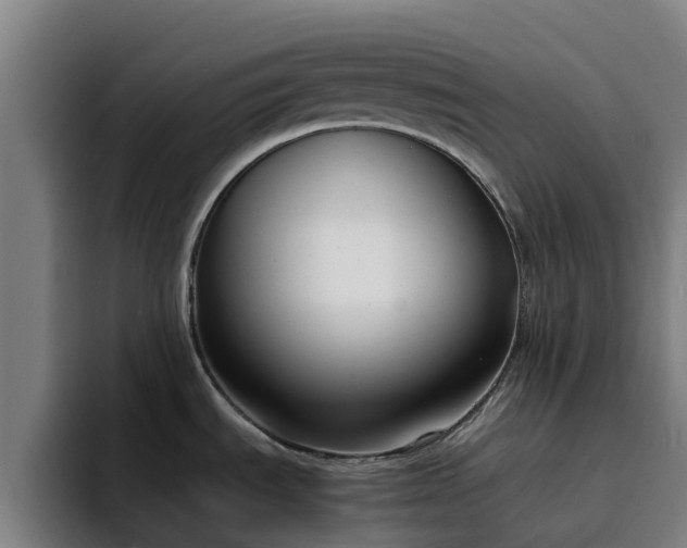 X0000094911535200712061039