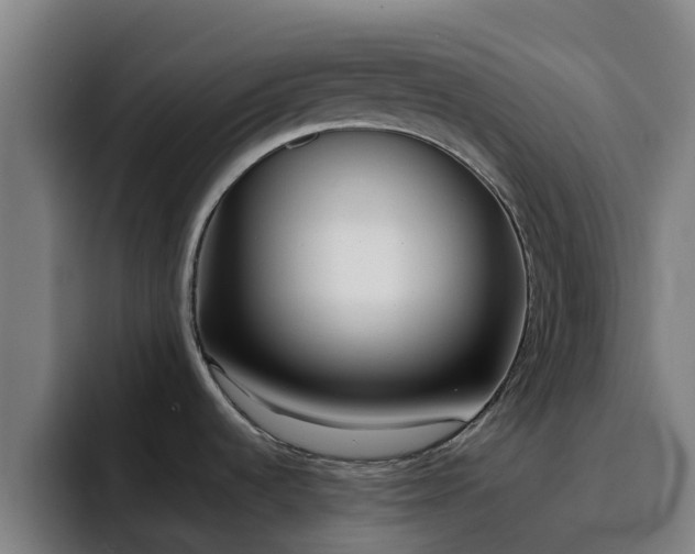 X0000094911536200712061039