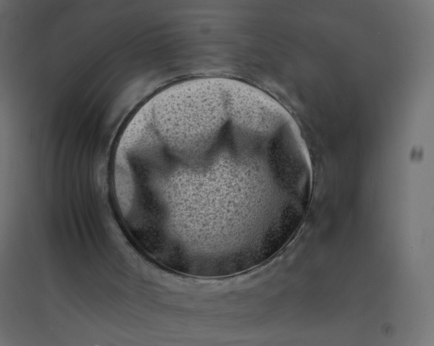 X0000094910002200712131503