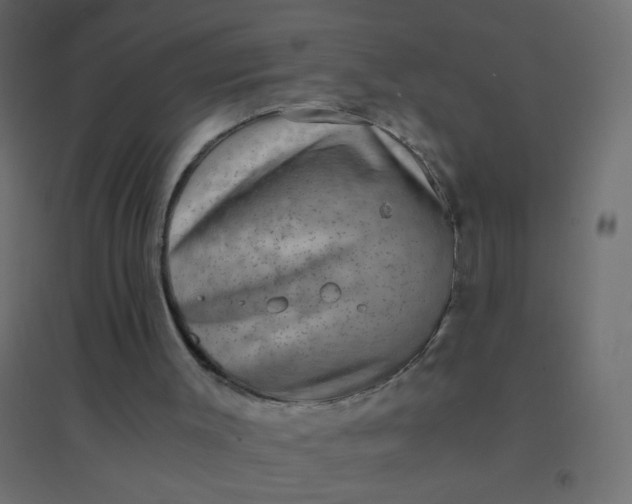 X0000094910003200712131503